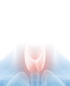 甲状腺疾患